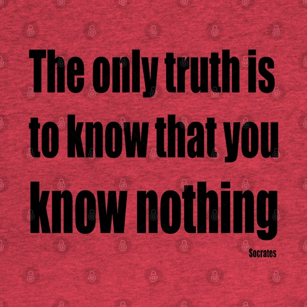 The Only Truth To Know Is That You Know Nothing by taiche